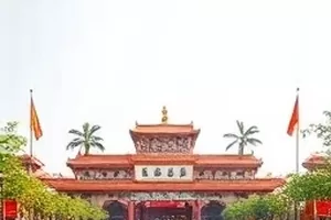 《旧唱片店》店主整理黑胶唱片的午后